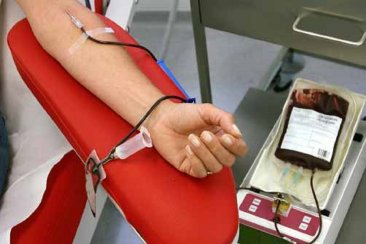 Hay más donantes pero aún no se recuperan "los valores históricos". Hay más donantes pero aún no se recuperan "los valores históricos".