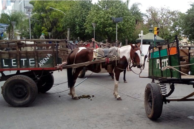 Desde este mi&eacute;rcoles se ampl&iacute;a el radio prohibido para veh&iacute;culos de tracci&oacute;n a sangre