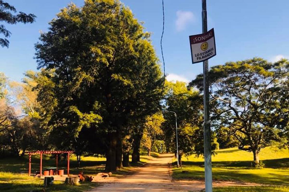 El paseo es escenario habitual de deportistas.
