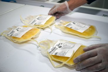 La profesional detalló cómo proceder para sumarse a la campaña de donación. La profesional detalló cómo proceder para sumarse a la campaña de donación.