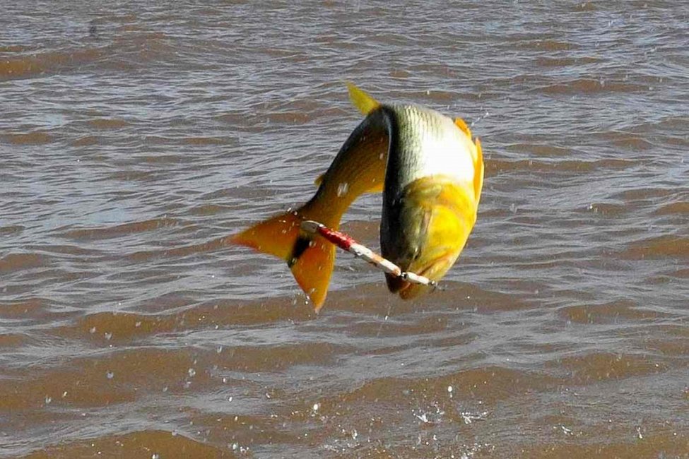 La pesca en el río Uruguay entre los temas abordados por Francolini con funcionarios provinciales