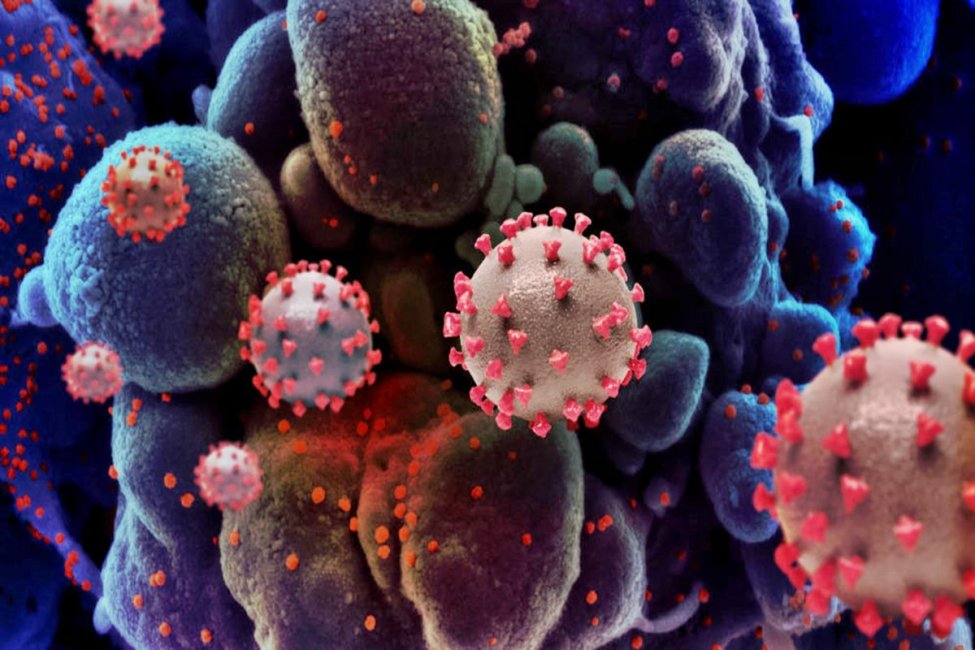 Entre Ríos registró más de 100 casos nuevos de coronavirus este viernes