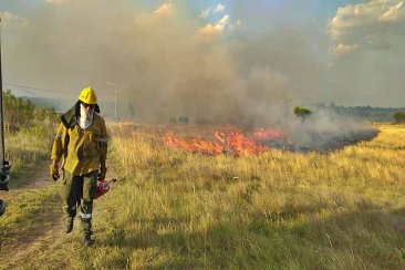 El incendio afectó a una superficie estimada en 90 hectáreas. El incendio afectó a una superficie estimada en 90 hectáreas.