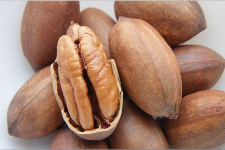 Por primera vez Entre R&iacute;os export&oacute; 20 toneladas de nuez pec&aacute;n a un gigante asi&aacute;tico