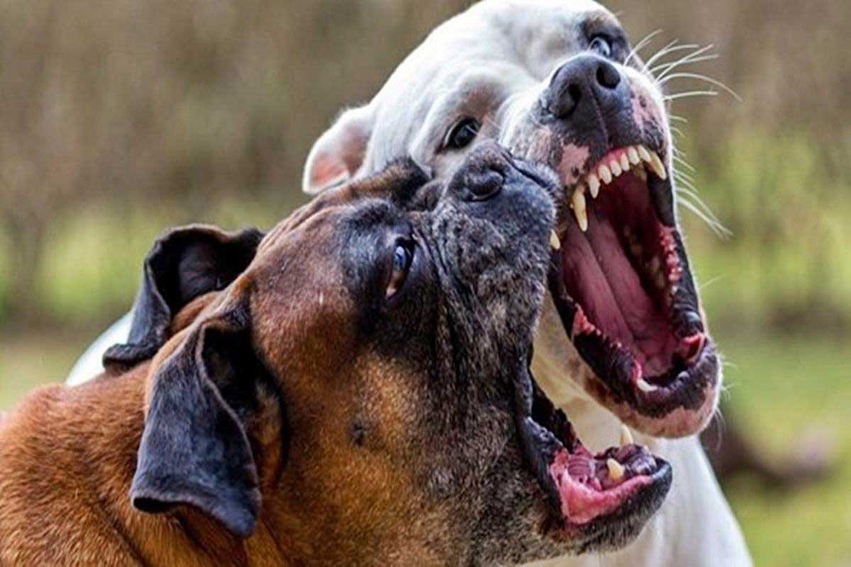 Los n&uacute;meros oficiales.