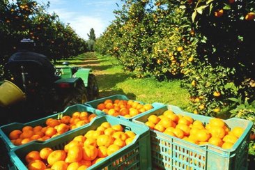 El proyecto apunta a productores y MiPyMEs de la provincia. El proyecto apunta a productores y MiPyMEs de la provincia.