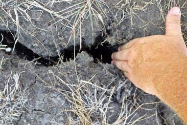 Los campos del departamento Federación ante la sequía Los campos del departamento Federación ante la sequía