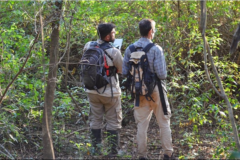 Comenzó el relevamiento de aves y flora en la Reserva Isla del Puerto de Concepción del Uruguay