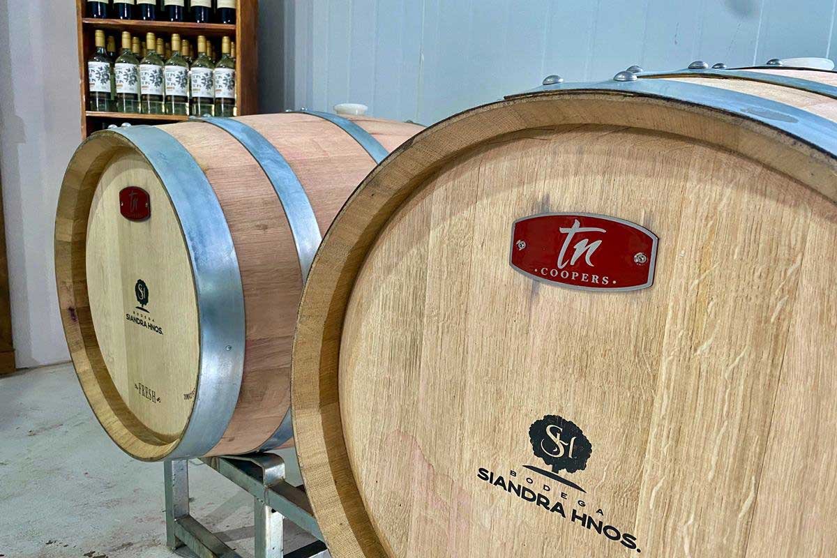 La bodega se prepara para la primera vendimia.