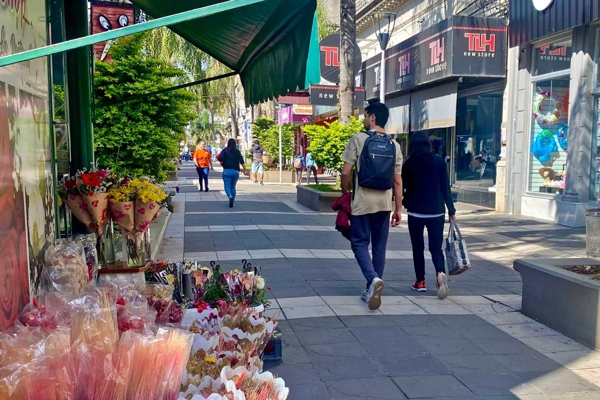 La propuesta busca fortalecer la actividad comercial.