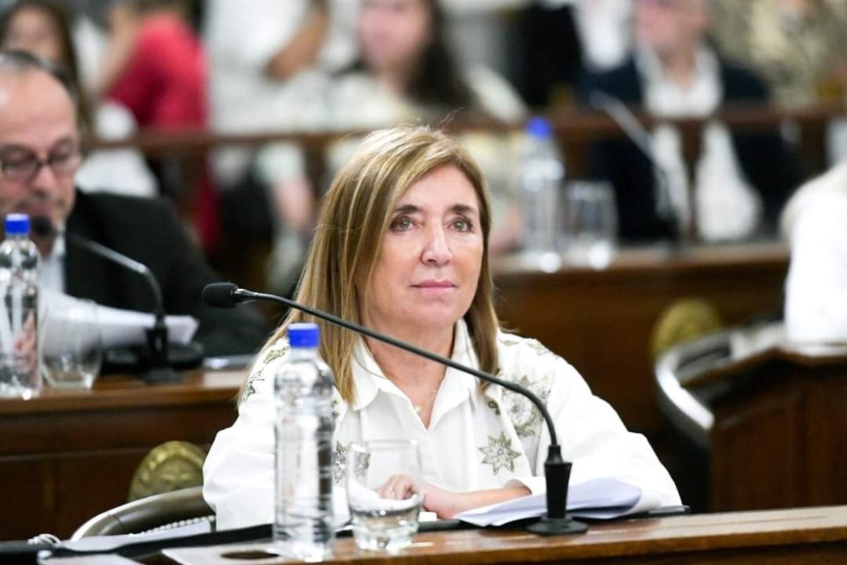 Senadora Cielo Espejo