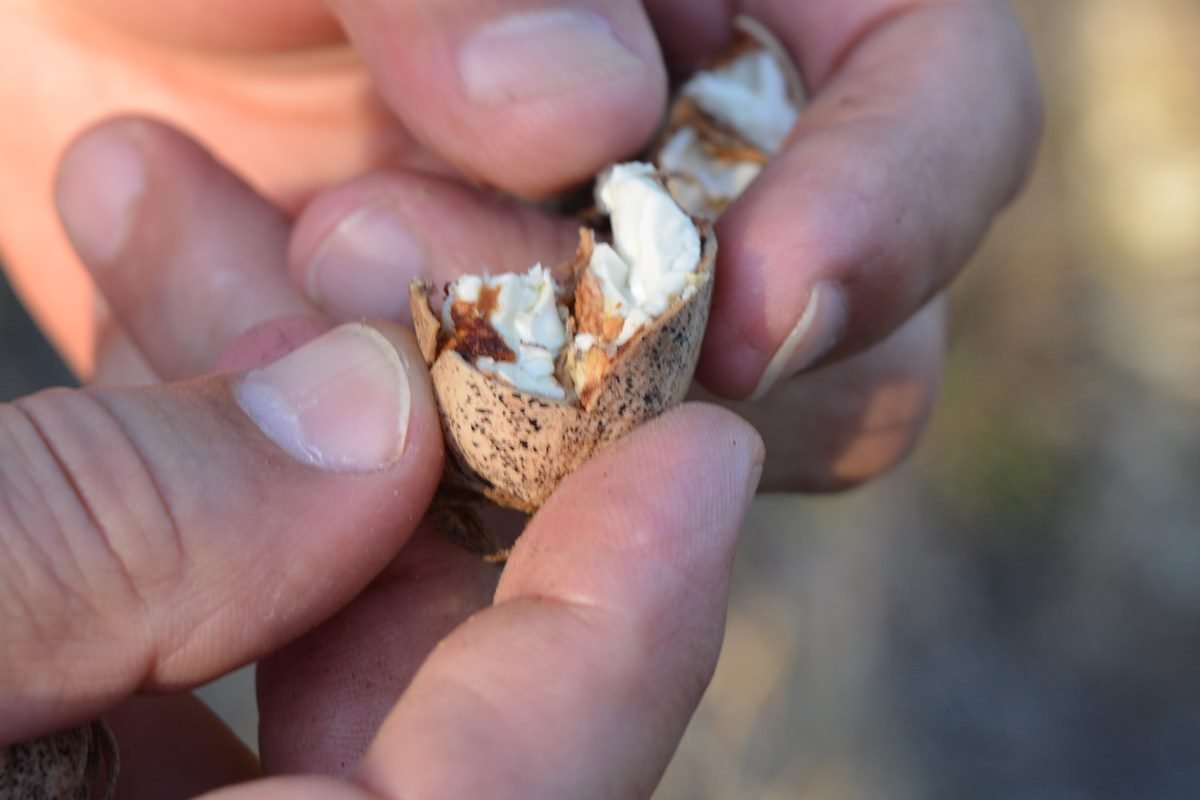 Las jornadas se llevarán a cabo en Concordia los días 27 y 28 de marzo.