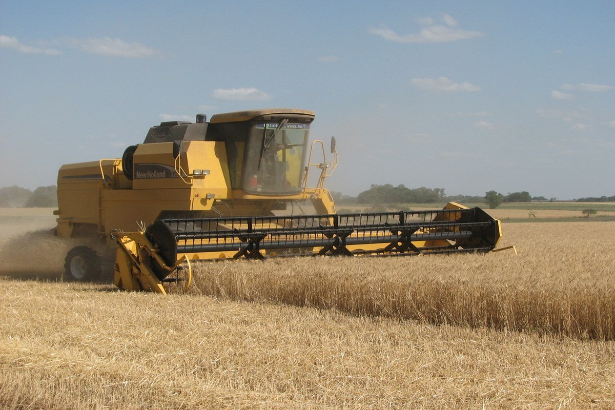 Trigo y soja entre los productos alimenticios m&aacute;s exportados.