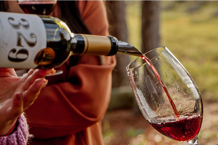 Finca Fenix invita a recorrer su vi&ntilde;edo en la tarde de este s&aacute;bado para un Brindis Celeste y Blanco