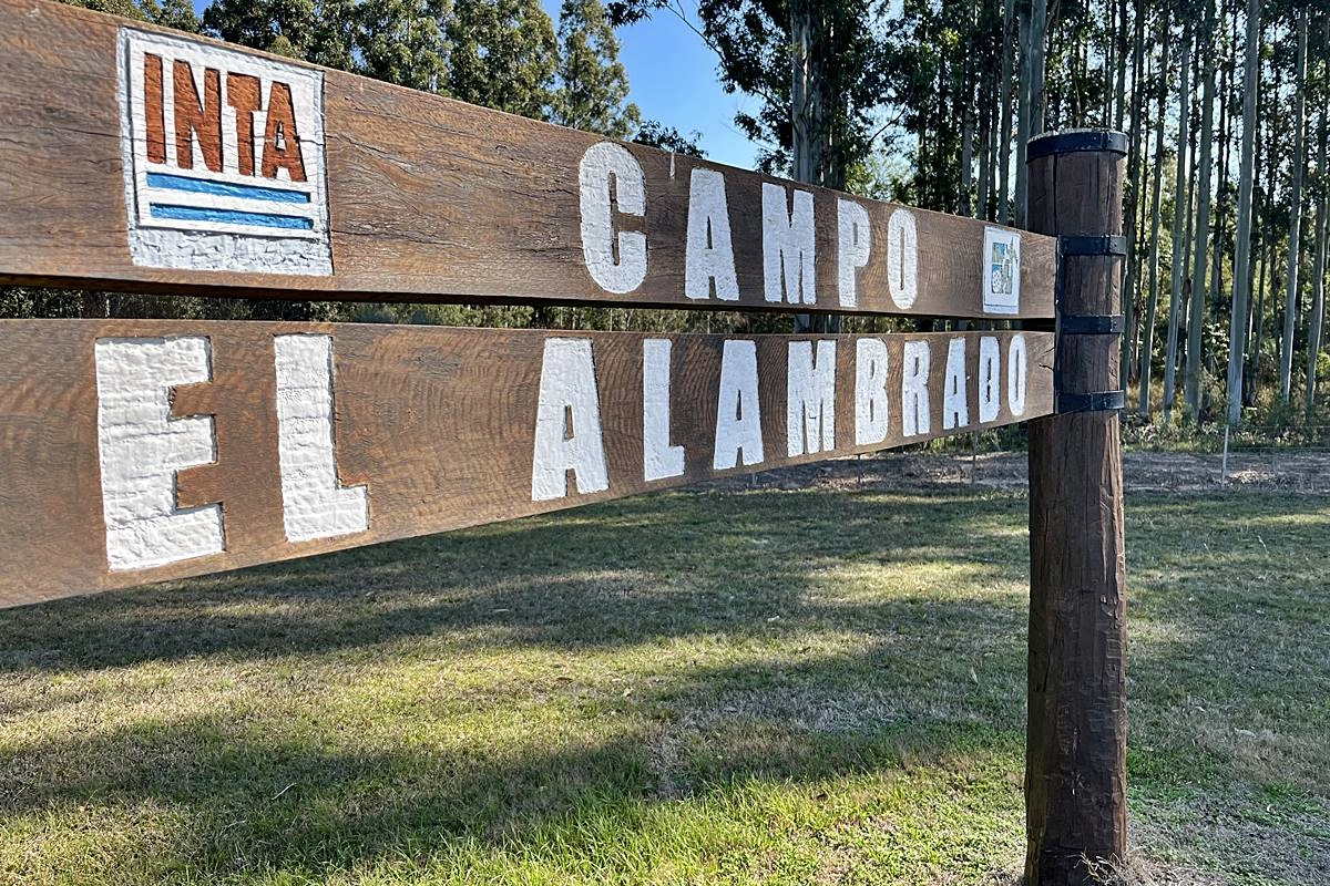 El Campo El Alambrado es uno de los predios mayores del INTA Concordia. El Campo El Alambrado es uno de los predios mayores del INTA Concordia.