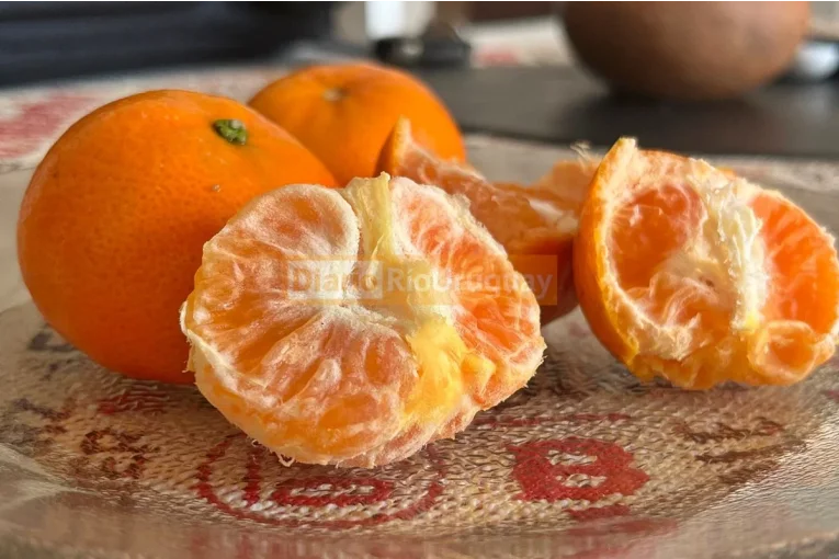 Citricultora detalló los cambios que sufre la fruta afectada por la helada