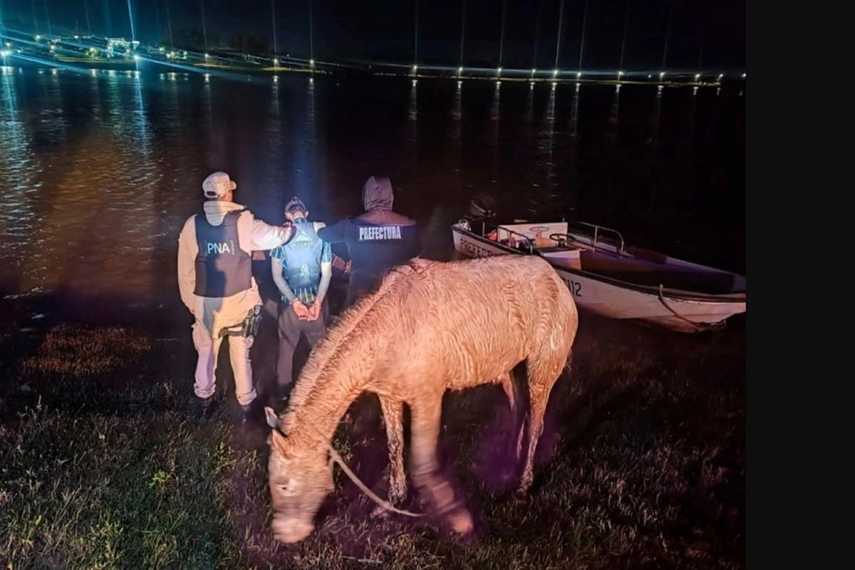 Uno de los animales y el joven detenido. Uno de los animales y el joven detenido.