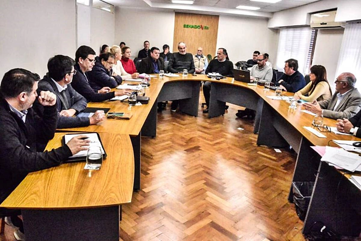 Los senadores se reunieron en Comisión. Los senadores se reunieron en Comisión.