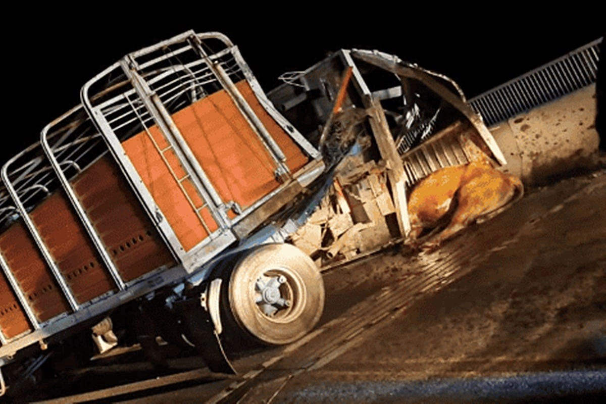 El accidente se dio sobre la Ruta Nacional 174