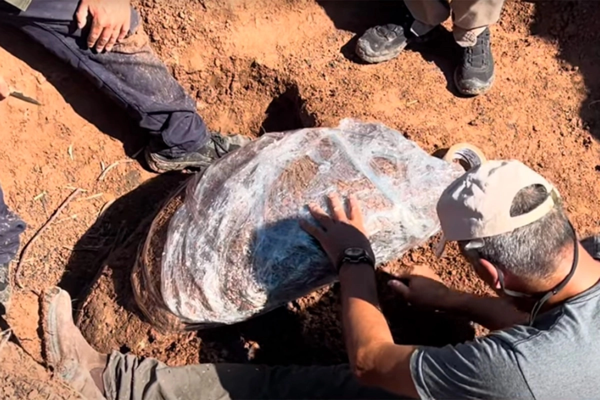 Se trata de un animal prehistórico que habitó esta región hace miles de años.