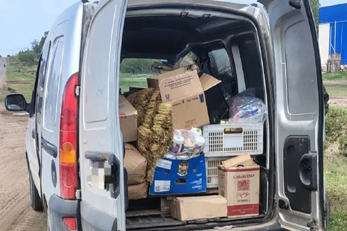 El conductor declar&oacute; que sus intenciones eran de venderlos en San Salvador.