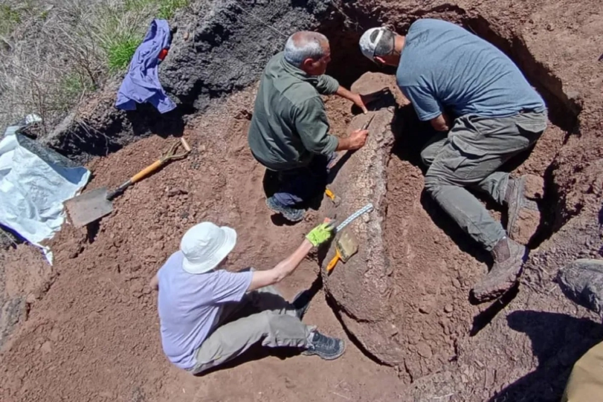 Los restos fueron encontrados en una zona rural cercana a una localidad.