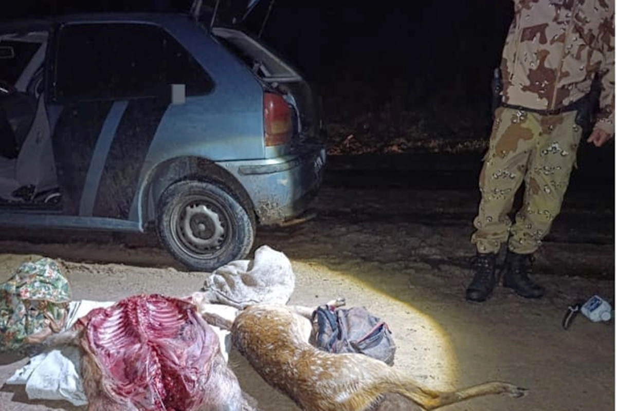 Se informó lo acontecido al fiscal en turno quien continuará con las medidas procesales.