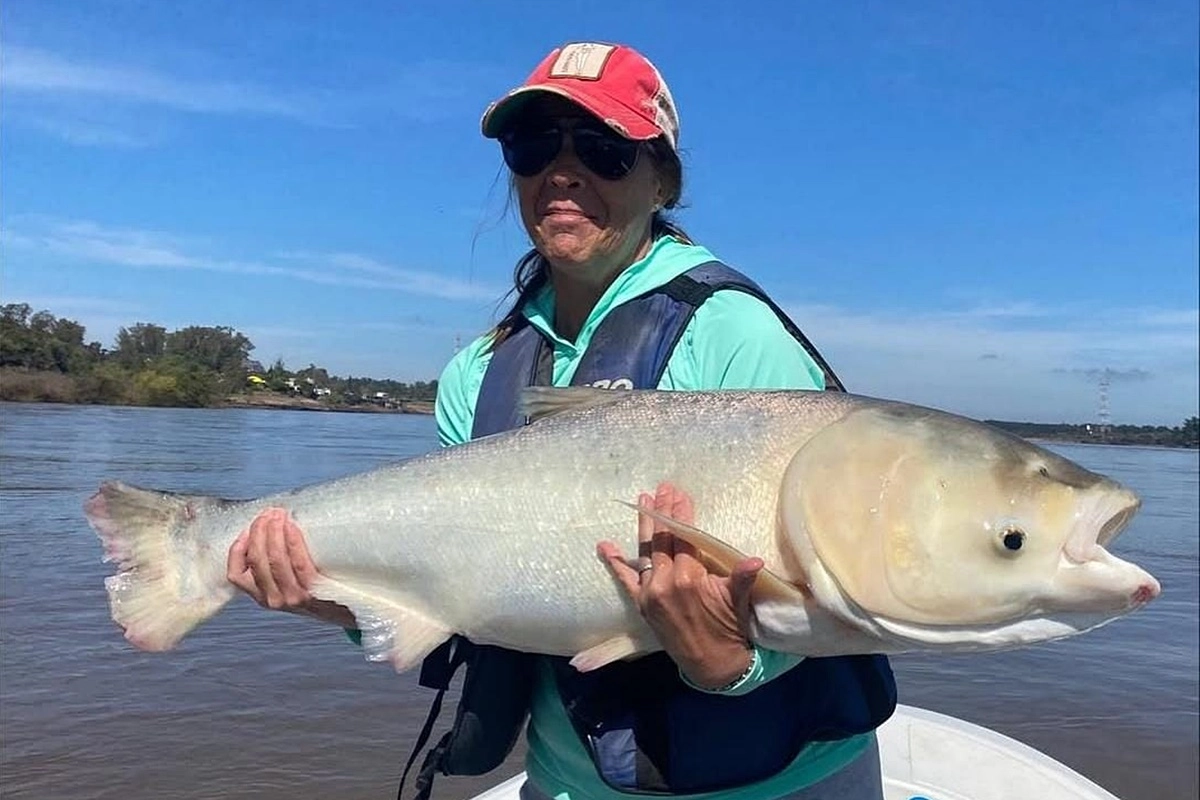 Uno de los ejemplares pescados al norte de Concordia