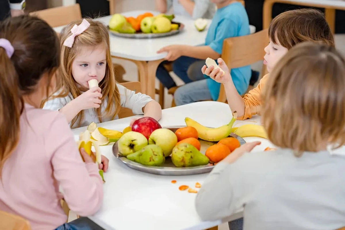 Se trata del proyecto de la escuela primaria especial Nº 2 Azahares, de Concordia. Se trata del proyecto de la escuela primaria especial Nº 2 Azahares, de Concordia.