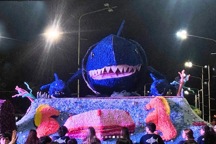 La carroza de Comercio 2 tambi&eacute;n padeci&oacute; la sanci&oacute;n de ECU