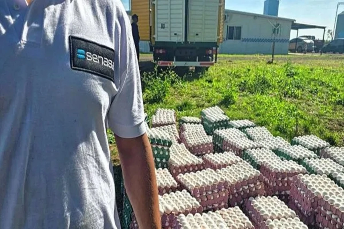 La mercadería era trasladada en un vehículo tipo chasis con cabina.