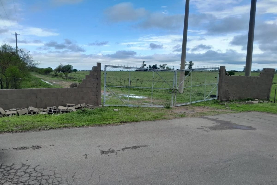 El viento tiró parte del muro de ingreso al predio.