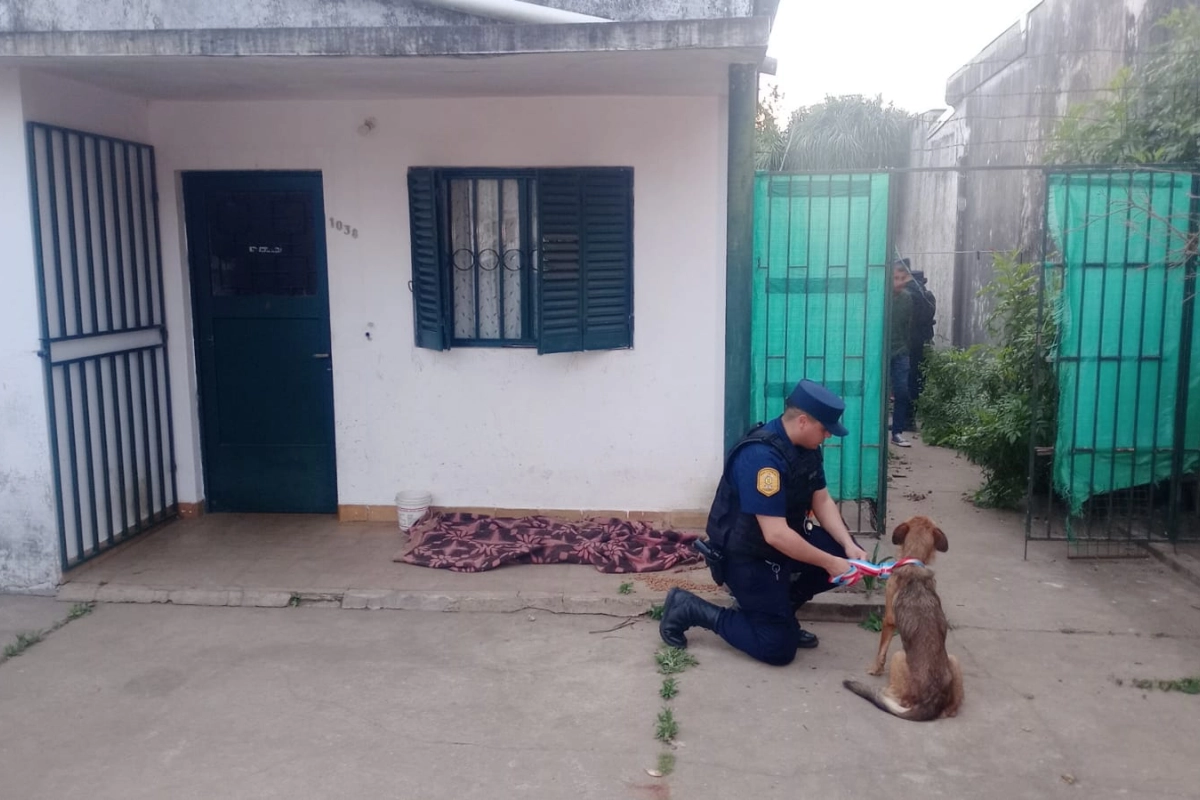 Se pudo constatar lo denunciado. Se pudo constatar lo denunciado.