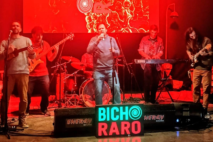 La Banda concordiense Bicho Raro.