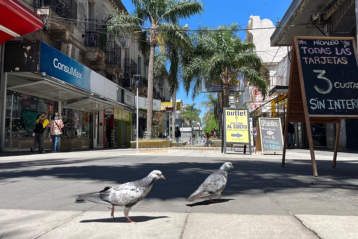 El sector comercial se enfrenta a "ventas por el piso".