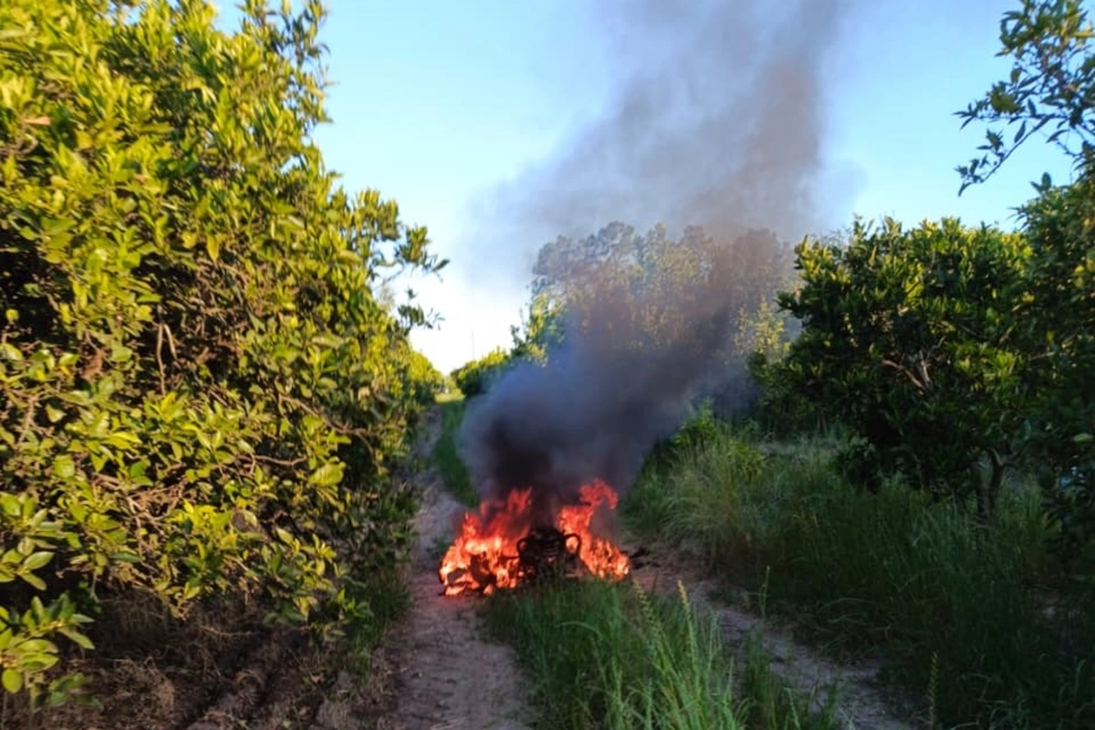 Afortunadamente, el hecho no dej&oacute; personas heridas.