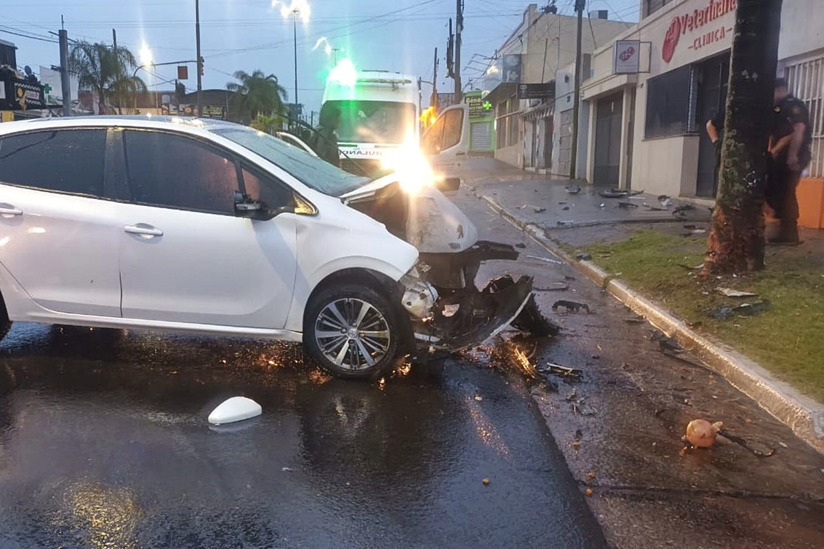 El automovil choc&oacute; contra una palmera