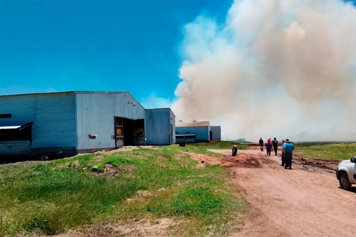 El hecho habr&iacute;a comenzado por un desperfecto el&eacute;ctrico.