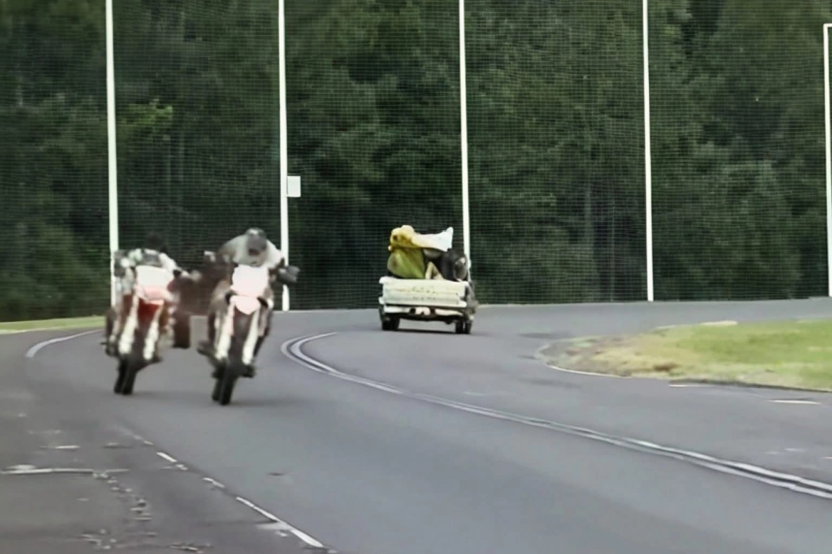 Causas penales para los irresponsables.