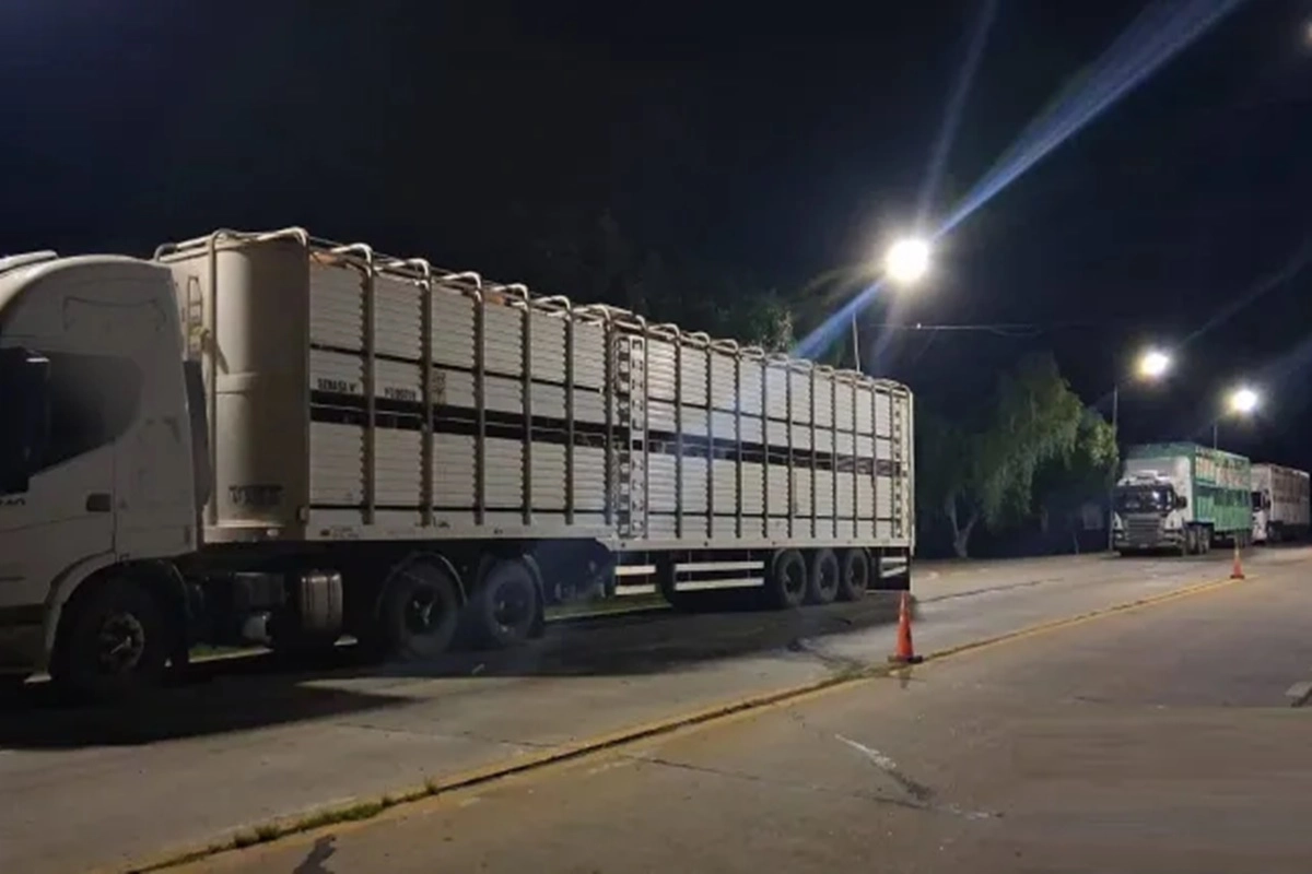 Los camiones provenían de Corrientes, con destino a Córdoba.