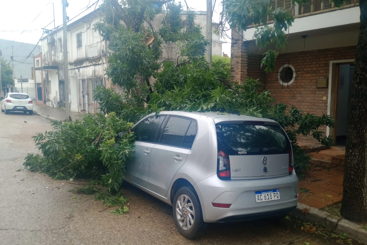 Da&ntilde;os materiales en el rodado.