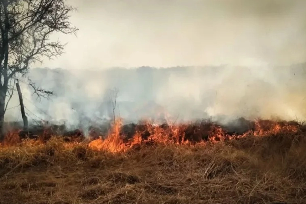La misma abarca desde el 1 de diciembre de 2025 hasta el 28 de febrero de 2026.