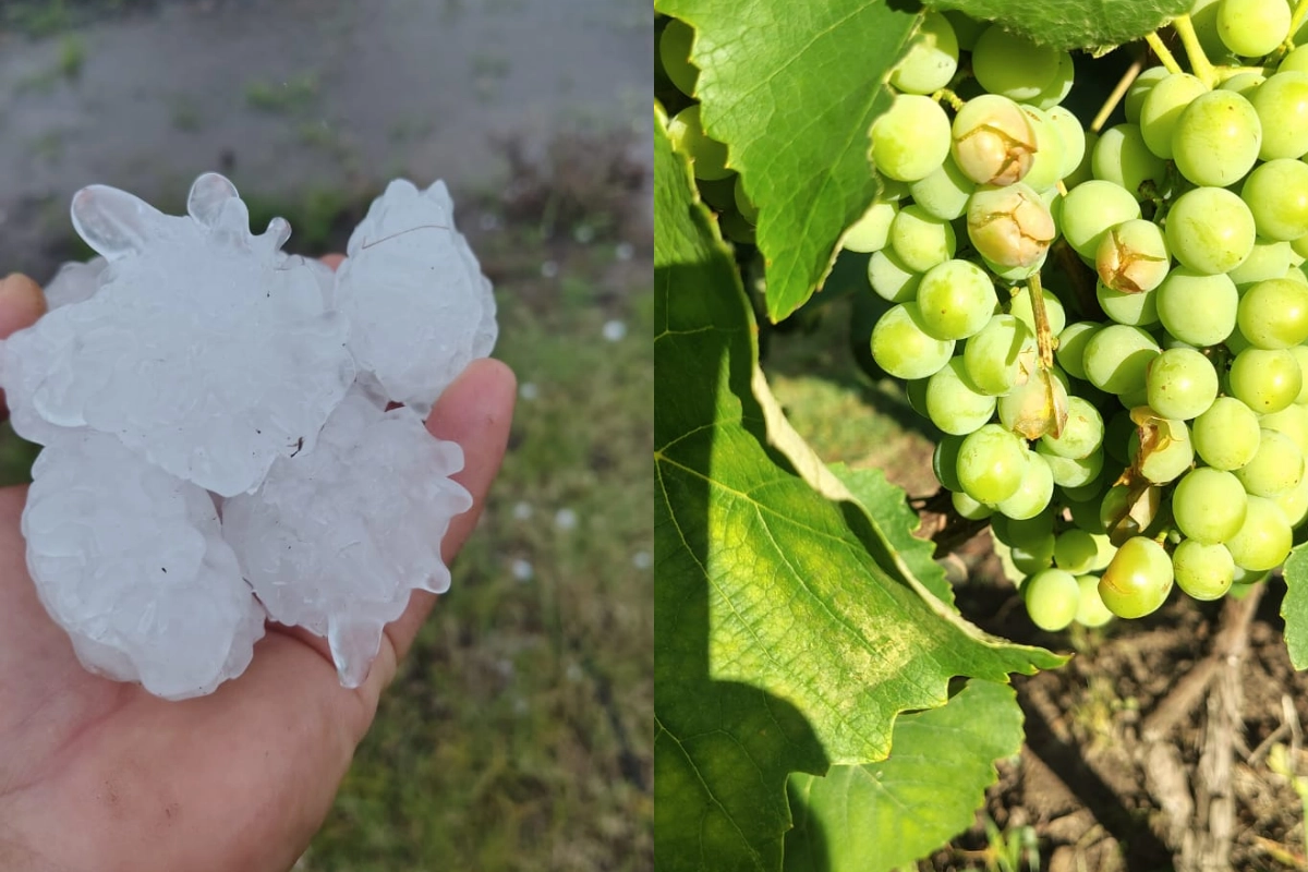 La ca&iacute;da de piedras afect&oacute; considerablemente a la bodega Ciandra Hermanos.