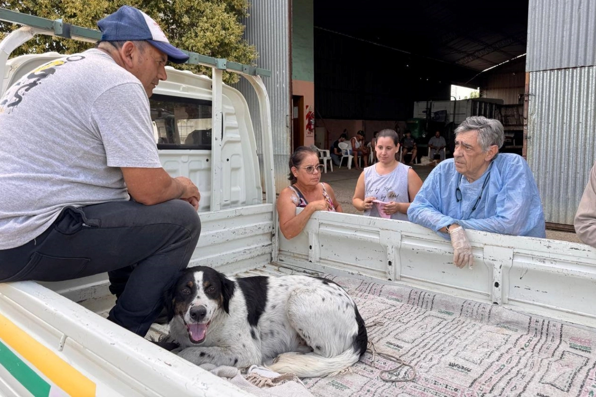 M&aacute;s de 200 castraciones se realizaron en el a&ntilde;o en Los Charr&uacute;as.