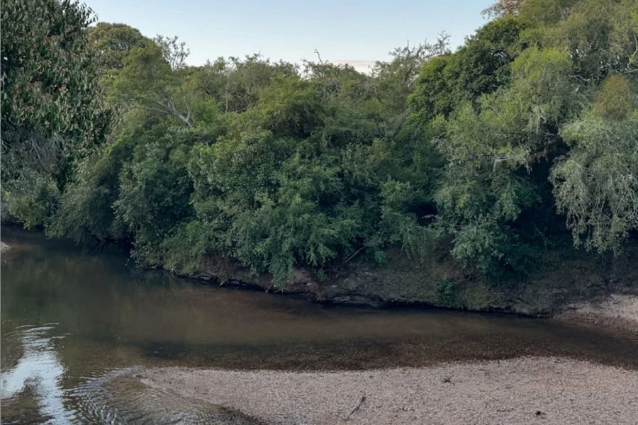 Arroyo Yuqier&iacute; Chico de Concordia.