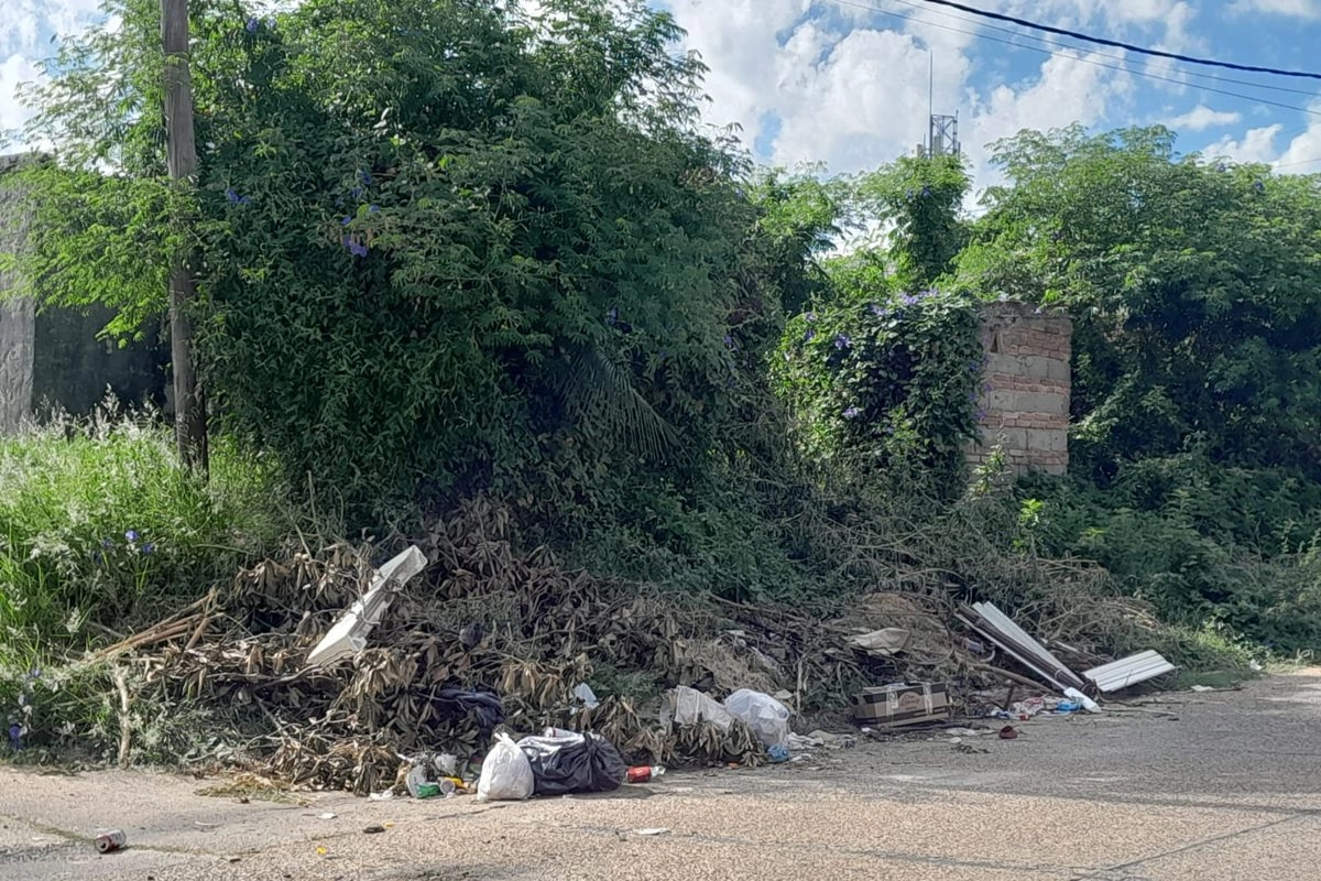 La esquina de Tucum&aacute;n y Col&oacute;n rodeada de pastizales y residuos.