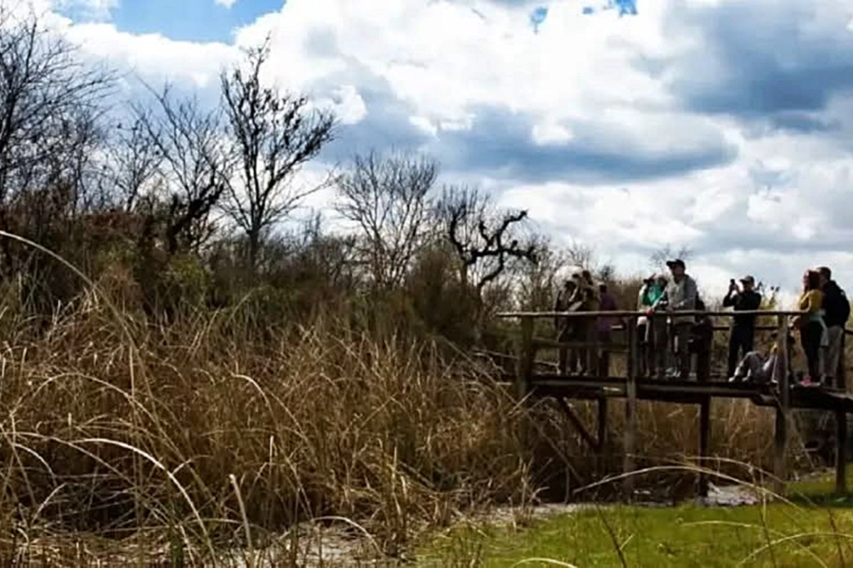 Buscan dar m&aacute;s precisiones del hecho.