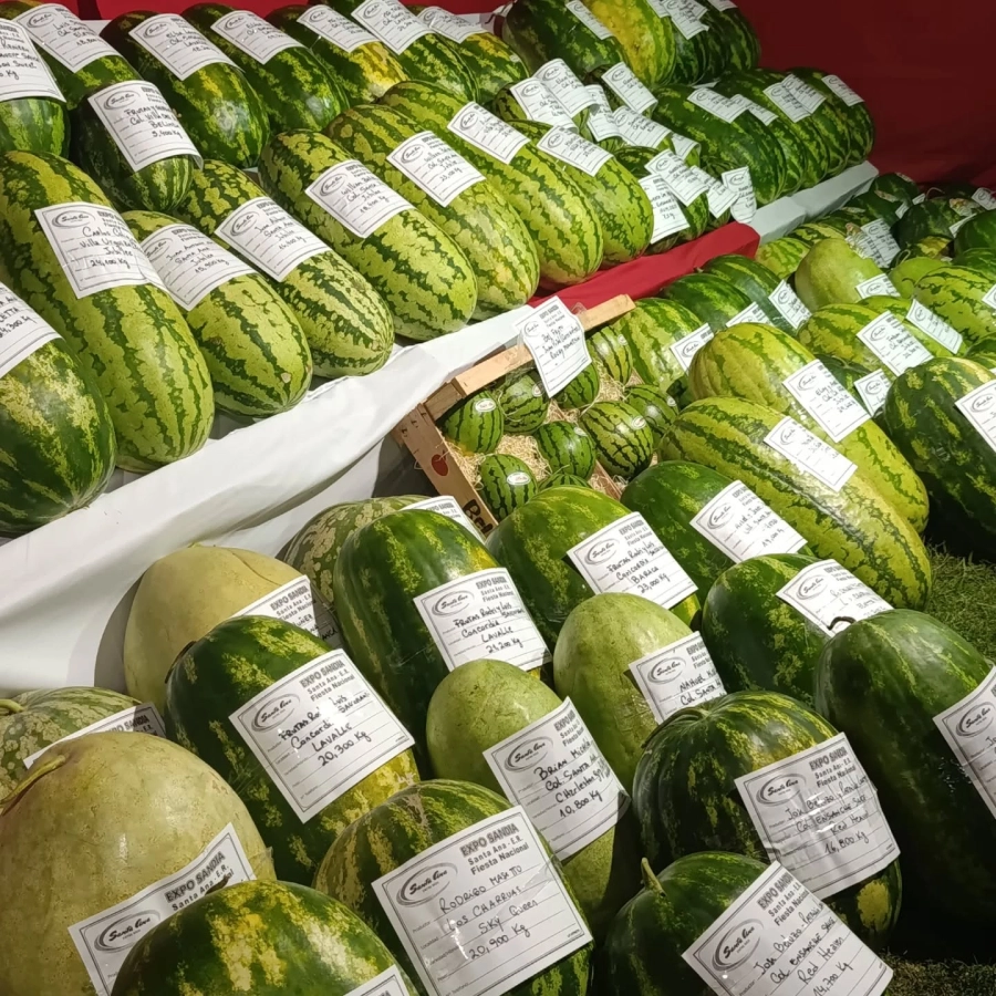 La Expo Sand&iacute;a es la atracci&oacute;n de la fiesta.