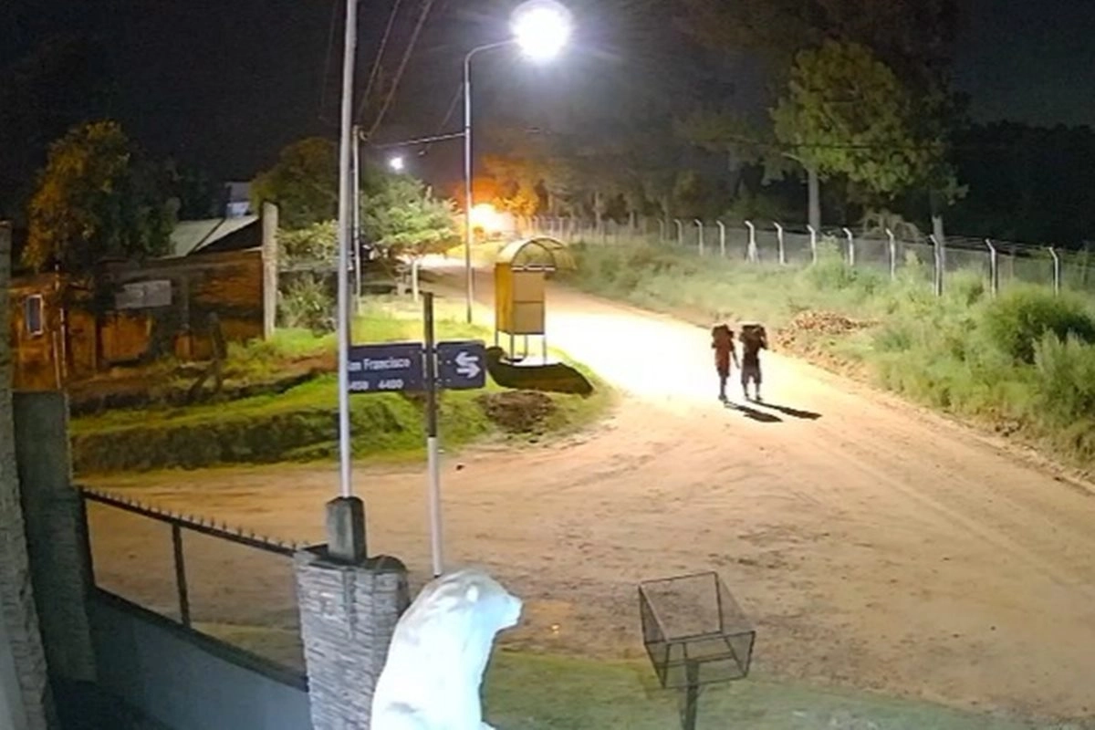 En los registros f&iacute;lmicos muestran a dos individuos caminando con elementos sustra&iacute;dos.