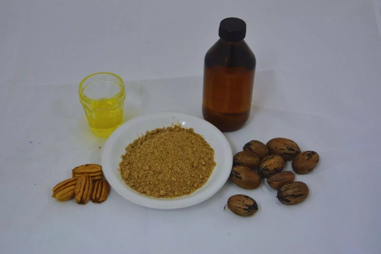 Nuevos derivados de la nuez pec&aacute;n se incorporan al C&oacute;digo Alimentario Argentino